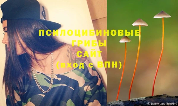 прущий лед Алексин